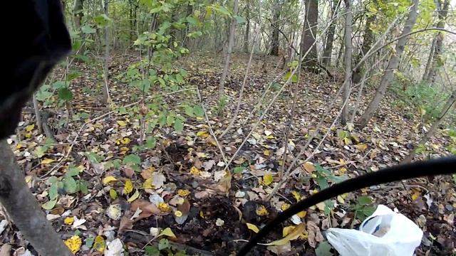 рядовка тополевая вместо рыбалки смотреть онлайн