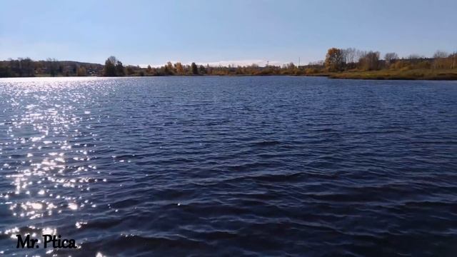 Кушва с высоты птичьего полёта (лето, осень)