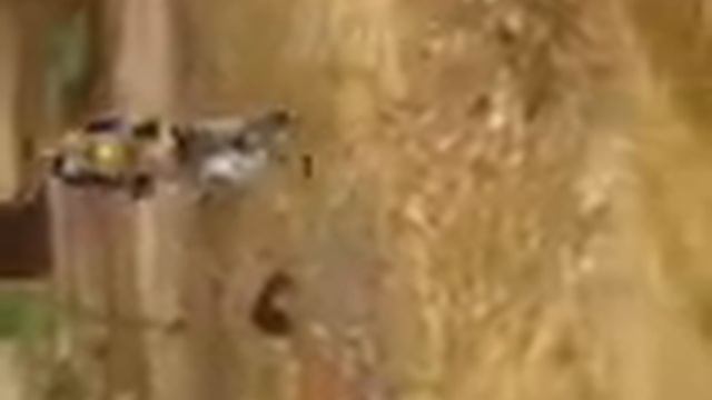 вытирай смотреть онлайн