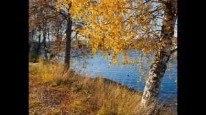 В минуты  музыки печальной  сл Н  Рубцов, вар муз В Новопашин
