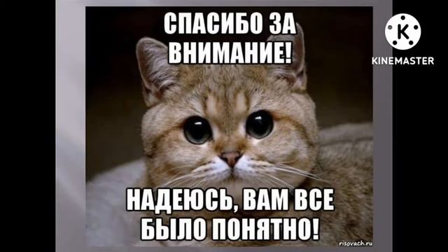 Видео больше не будет?😳 смотреть онлайн