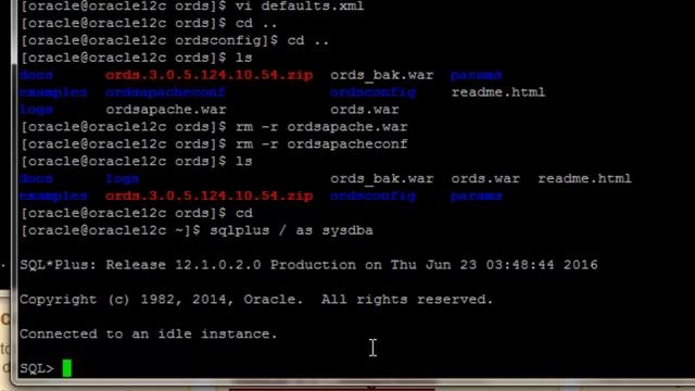 Oracle Apex 5 with ORDS in Apache Tomcat in Linux смотреть онлайн