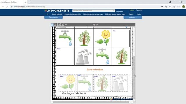 liveworksheets web2 aracı ile etkinlik hazırlama смотреть онлайн