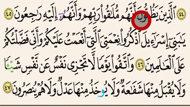 رواية ورش:تجويد سورة البقرة :تعلم التلاوة مع شرح الأحكام بجميع الأوجه والتحريرات9 смотреть онлайн