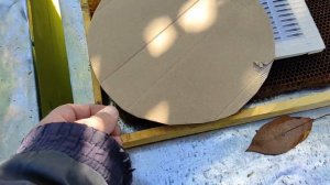 Изоляция маток в зиму. Изолятор Хмары. Почему пропадают матки осенью 2022г?