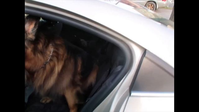 Celebrando el CUMPLEAÑOS de Mamá ?? + Nuestro Diario Vivir en CANADÁ ?? смотреть онлайн