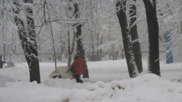 С .Трандафилов - Первый день зимы /авторская/ смотреть онлайн