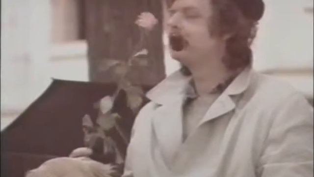 Вика Цыганова - Гроздья рябины смотреть онлайн