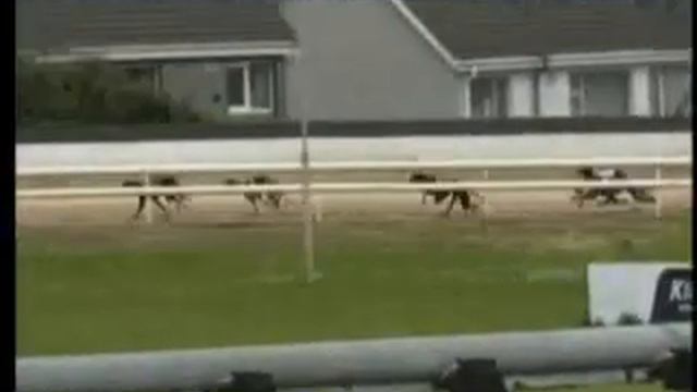IGB - The Waterford Greyhound Stadium ( NON SIS) 16/05/2019 Race 12 - Waterford смотреть онлайн