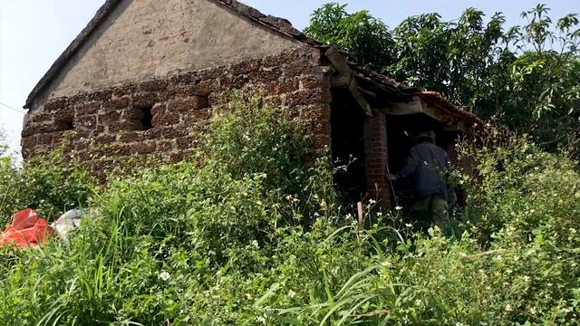 Catch Python In Abandoned House | Skills Catch Python смотреть онлайн