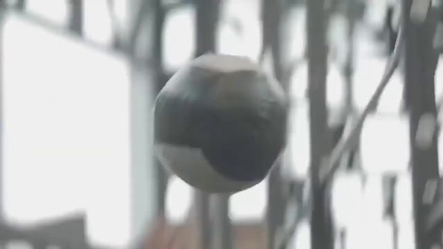 Музыка для спорта Music For Sport