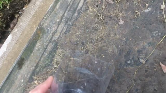 ПЛАСТИКОВЫЕ БУТЫЛКИ что можно сделать.НЕ ВЫБРАСЫВАЙ смотреть онлайн