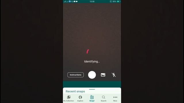 PlantSnap identifies an European Spindletree (Euonymus europaeus) смотреть онлайн