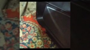 Сколько стоит покрасить новый бампер