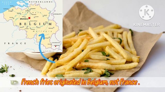 Top 40 Amazing facts for Kids | Amazing Facts for Kids | Facts for Kids | Did you know These Facts? смотреть онлайн