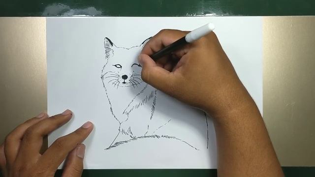 How to Draw a Realistic Fox смотреть онлайн