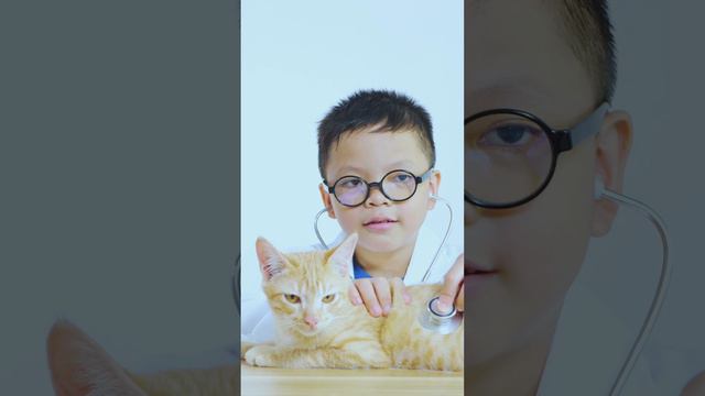 Что ЖИВОТНЫЕ делают в программировании смотреть онлайн