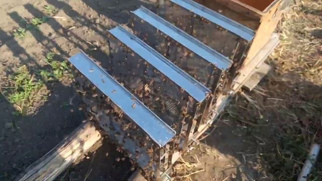 Закончили откачку мёда и немного о ........ смотреть онлайн