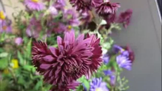 Вальс для двоих — Видео@Mail Ru смотреть онлайн