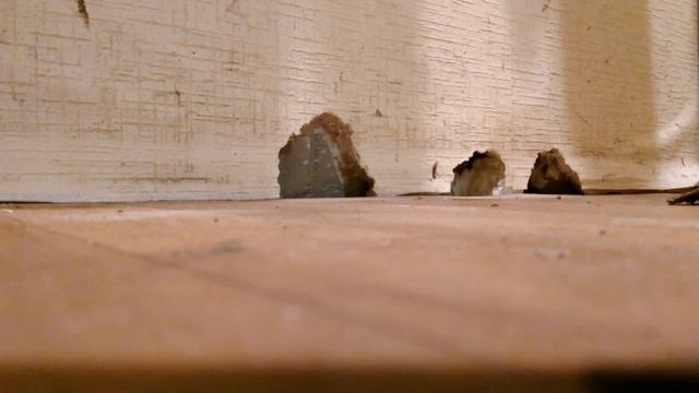 Установка дверей своими руками