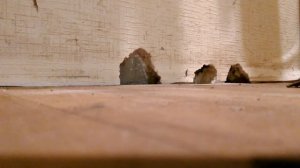 как заделать,дырки в стене