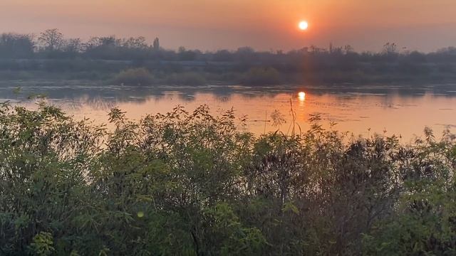 253❤️Жизнь на Кубани идёт своим чередом.Что можно найти в магазине Светофор.Миша выгоняет соседей ?