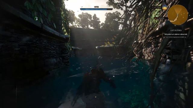 The Witcher 3: Wild Hunt | Morkvarg'ın Lanetini Nasıl Kaldırırız? смотреть онлайн