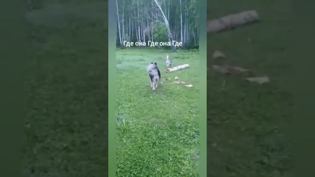 29 марта 2021 г. смотреть онлайн