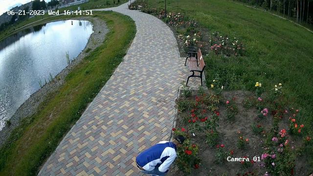 Муром. Кража роз из парка 50-летия Советской власти смотреть онлайн