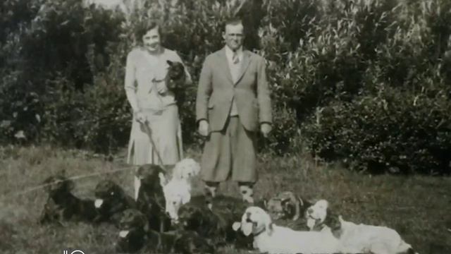 Барбара Картленд "Я всегда советовала, чтобы влюбленные писали письма. Слова - это часть души." смотреть онлайн