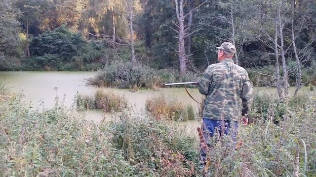 Охота на утку!!! Слабонервных просьба не смотреть!!! смотреть онлайн