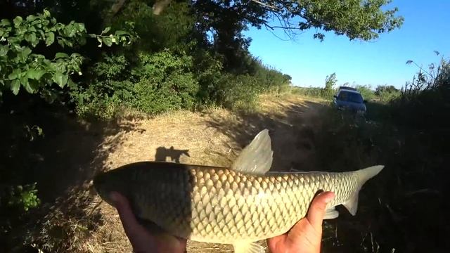 Рыбалка с Ночёвкой Ловля на Тигровый Орех смотреть онлайн