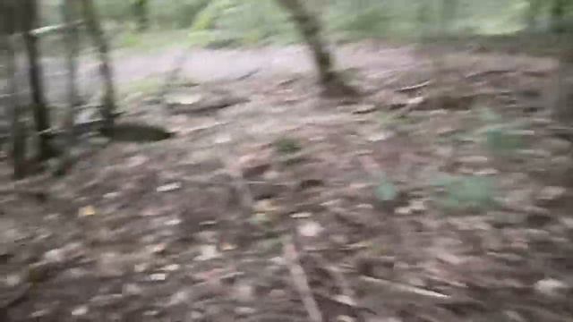 Пакет опят за 42 секунды смотреть онлайн