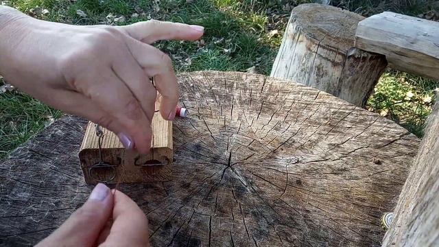 Уничтожение мышей с помощью ловушки смотреть онлайн