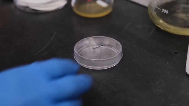 Metabolite Extraction from Bacterial Culture смотреть онлайн