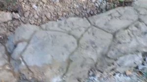 Наша дача. Бордюр? камни и цемент!!!))