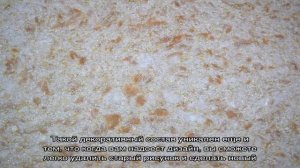 Жидкие обои в интерьере (30 фото): интересный дизайн и рисунки