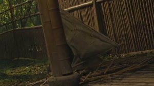 Девушка в цзянху 1 сезон 14 серия