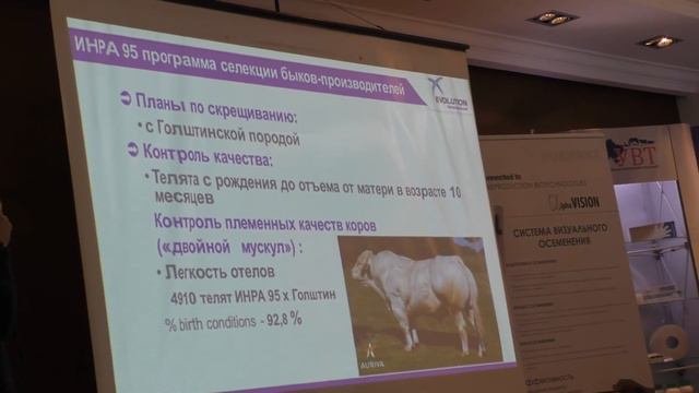 Новая терминальная порода КРС: Инра 95 смотреть онлайн