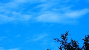 Борьба с печалью и унынием - цитаты с советами святых отцов