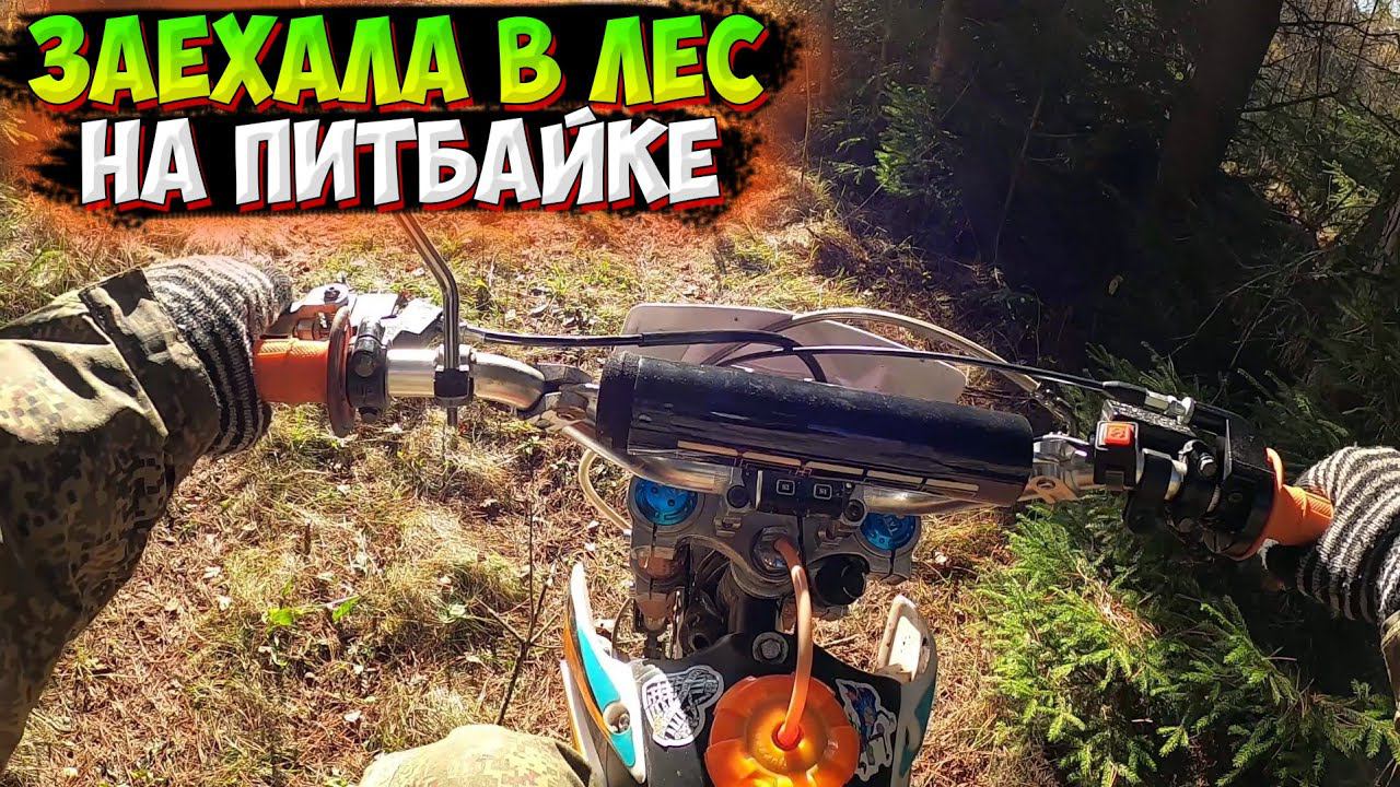 ЗАСТРЯЛА В ГРЯЗИ!? ПОКАТУШКА НА ПИТБАЙКЕ ПО ЛЕСУ смотреть онлайн