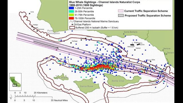 Reducing the Threat of Ship Strikes to Whales смотреть онлайн