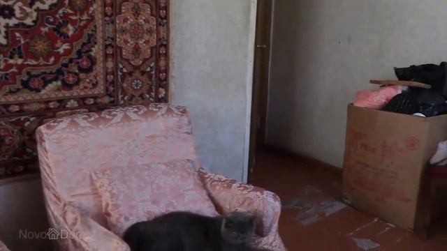 Купить 2-комнатную квартиру в Ташкенте 2/5/5-36000 у.е м.Космонавтов смотреть онлайн