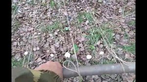 Плетение травяного ковра для бани от Доброго Банщика