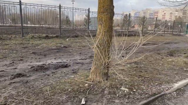 Дорога у парку им. 300-летия Таганрога смотреть онлайн