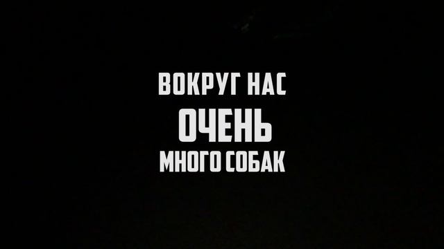 Таиланд - можно ли путешествовать без денег? \ КРУГОСВЕТНОЕ ПУТЕШЕСТВИЕ смотреть онлайн
