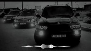 DOLYA VOROVSKAYA BASS