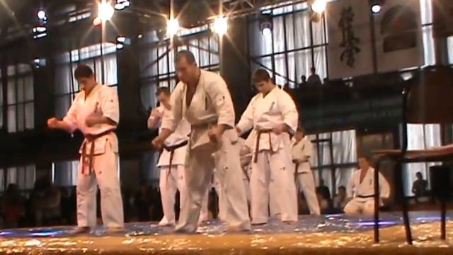 Показательное выступление тренерского состава ККДЮСОО на первенстве ЮФО по каратэ 23.11.2014 г. смотреть онлайн