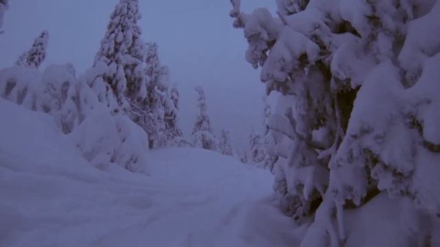 Финляндия 2013-2014. Юлляс. Часть: Леса (2) смотреть онлайн