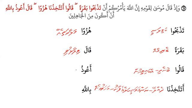 Luqathul Quran - Class 23 смотреть онлайн